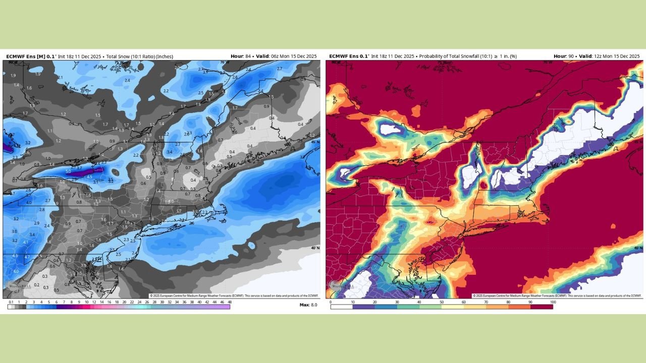 Connecticut, New York City and Long Island Expected to See 1–3 Inches of Fluffy Snow in Saturday Night Storm