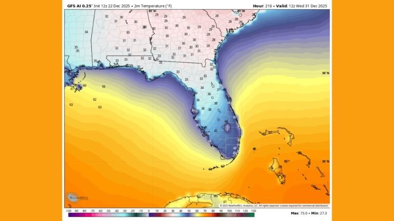 Florida Could Face Significant Cold Outbreak Next Week as Forecast Models Signal Widespread Freeze Potential