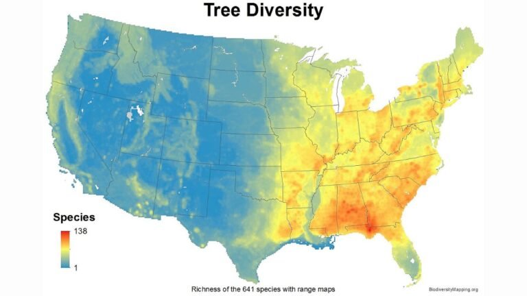 Pennsylvania Sits at the Heart of a Major East–West Divide in U.S. Tree Diversity, New National Map Shows