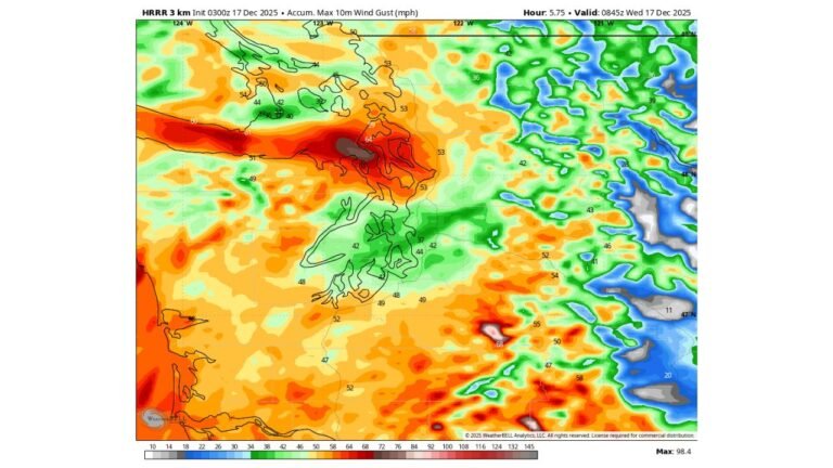 Washington State Faces Rare Storm Warning as Hurricane-Force Wind Gusts Threaten Puget Sound and Northwest Interior
