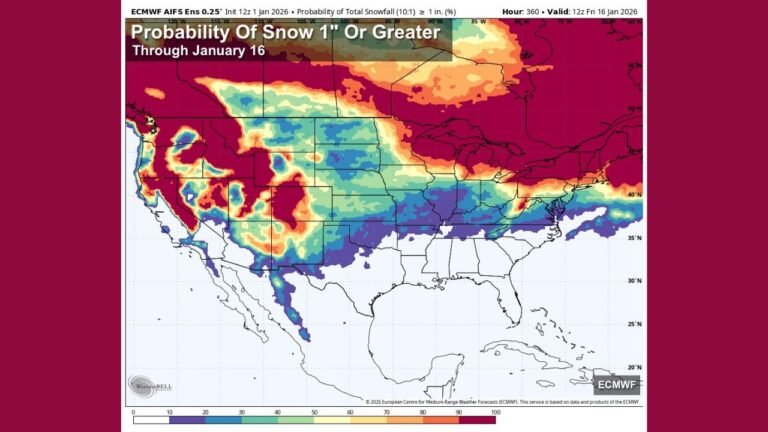 Deep South Winter Forecast Shows No Snow Threat for Alabama, Georgia, Mississippi, and Florida Through Mid-January