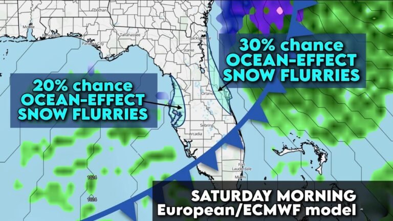Florida Arctic Blast Raises Rare Snow Possibility in Pinellas County and Tampa for First Time in Decades