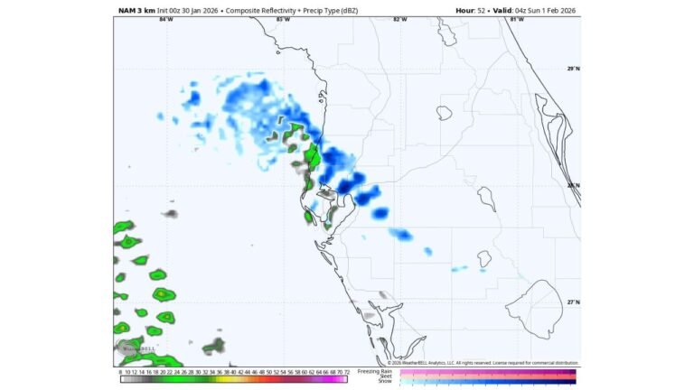 Tampa, Florida, Could See Snow Showers as Rare Arctic Blast Reaches the Gulf Coast