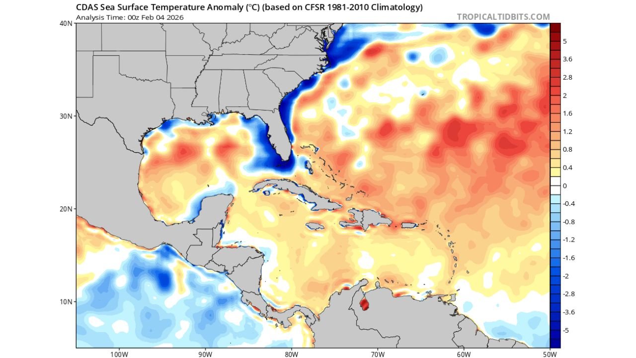 Florida Coastal Waters Turn Unusually Cold After Arctic Blasts, With Near-Record Sea Surface Cooling in the Gulf and Atlantic