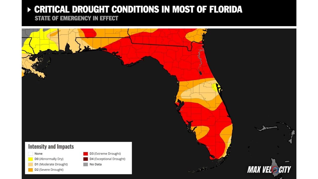 Florida Declares State of Emergency as Extreme Drought Engulfs Central and South Florida, Burn Bans Cover Majority of Counties