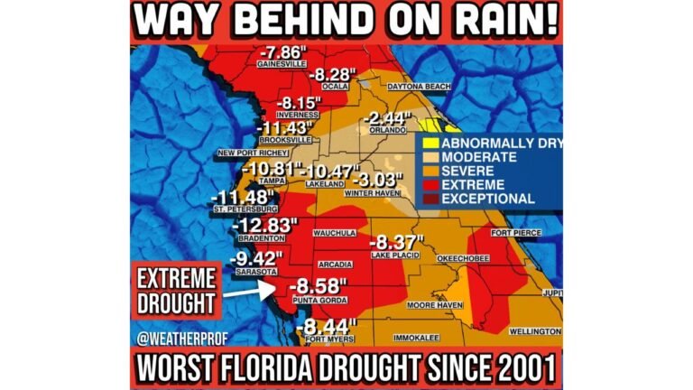 Florida Facing Worst Drought Since 2001 as Tampa, Bradenton, Sarasota and Fort Myers Run 8 to 12 Inches Behind on Rainfall