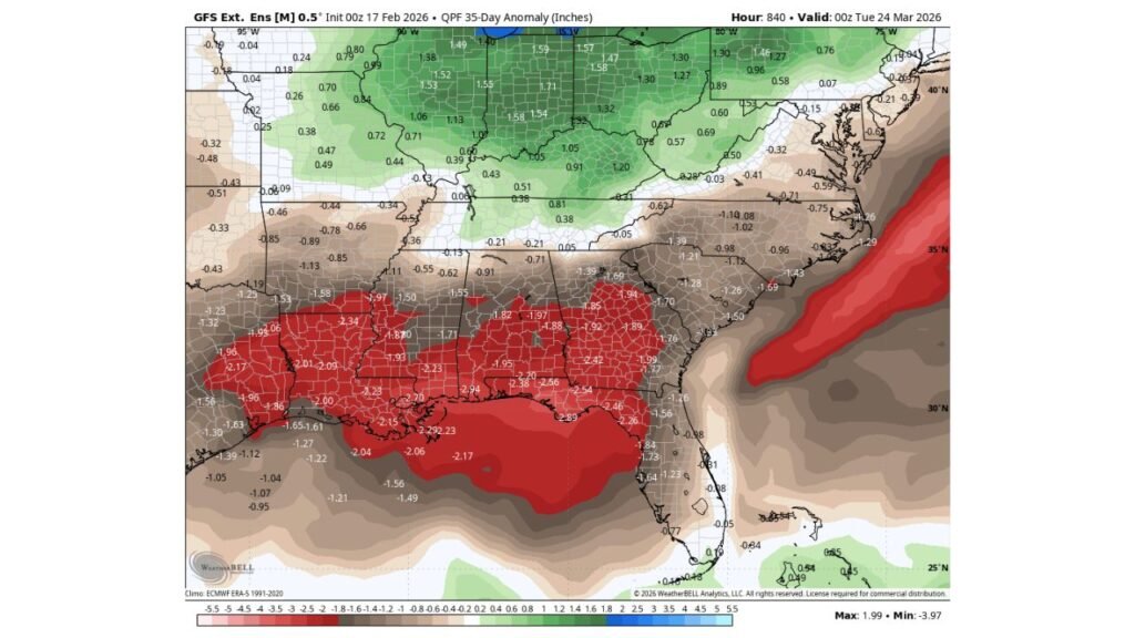 Florida and Gulf Coast Face Growing March Wildfire Threat as Rainfall Deficits Deepen Across Alabama, Georgia, Louisiana and Mississippi