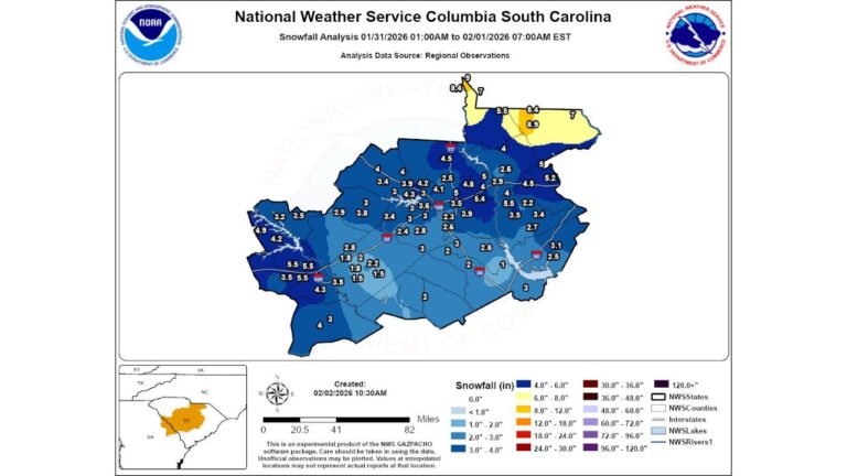 Rare Southern Snowfall Breaks Multi-Decade Records Across South Carolina and Georgia, With Some Areas Seeing Their Heaviest Snow Since 2004