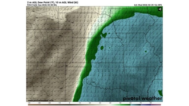 Texas, Oklahoma, Louisiana and Arkansas Face Renewed Severe Weather Threat as Gulf Moisture Surges North Ahead of March 8 System