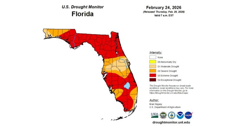 Florida Faces Historic Drought Crisis as Entire State Falls Into Drought Conditions With 67% Now in Extreme Drought
