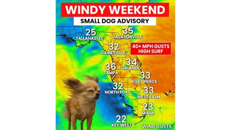 Florida Faces Windy Weekend With 40 MPH Gusts Small Dog Advisory And High Surf Risk Along East Coast