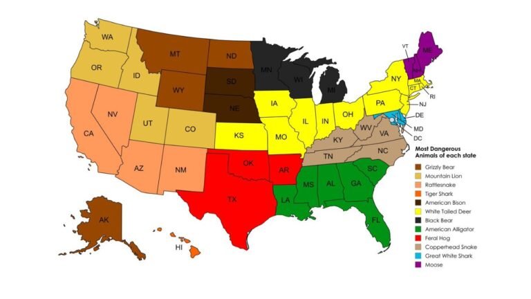 Map Reveals Most Dangerous Animals Across Every U.S. State as Unexpected Threats Like Deer and Hogs Dominate Large Regions