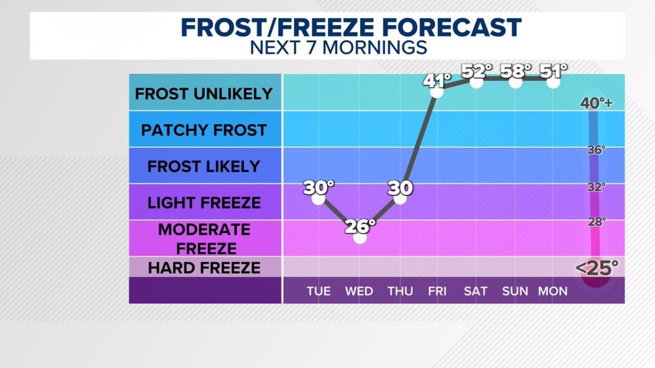 North Carolina, South Carolina, and Charlotte Area Face Multi-Night Freeze Threat as Temperatures Drop to Mid-20s Despite Limited Warnings