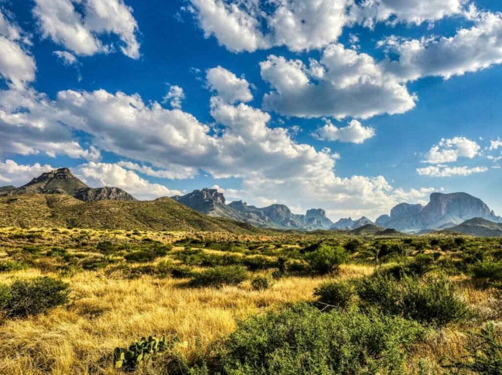 Texas’ Diverse Landscapes From Piney Woods to Chihuahuan Desert Highlight Unmatched Biodiversity Across the Lone Star State