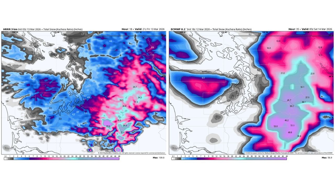 Washington’s Puget Sound Faces Snow Forecast Mystery as Weather Models Clash Over Possible Overnight Accumulation