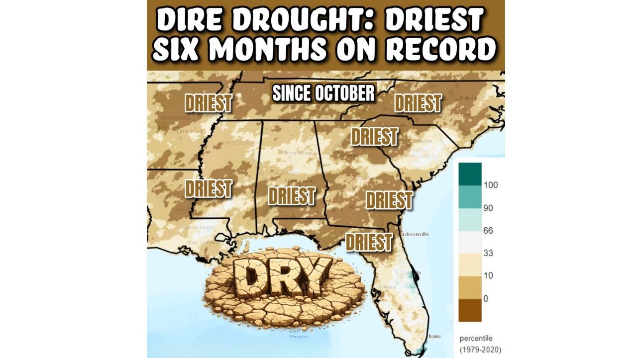 Florida, Georgia and the Southeast Are Living Through the Driest 6 Months Ever Recorded as 100% of the Region Hits Drought