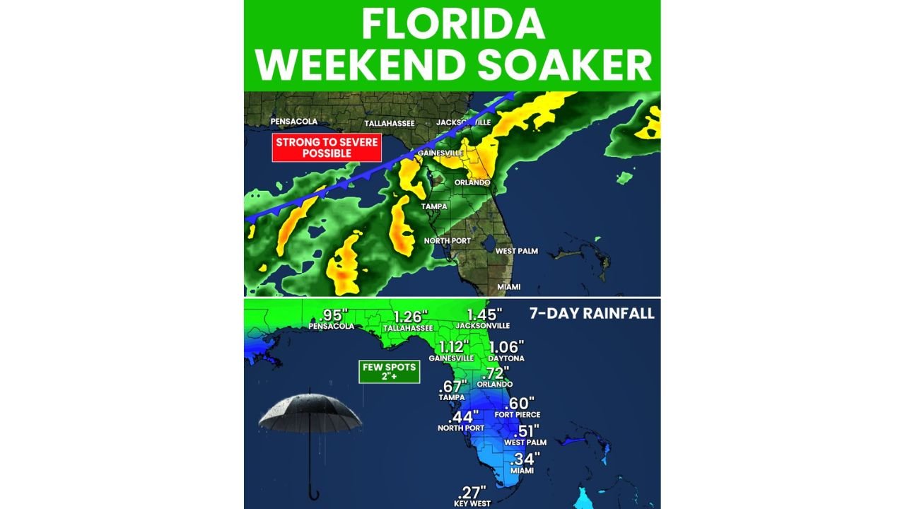 Jacksonville, Gainesville and Tampa Face Weekend Frontal Rain With Strong to Severe Storms Possible Saturday and Sunday