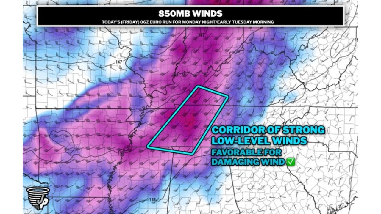 Nashville and Middle Tennessee's Drought-Weakened Trees Face Monday Night Wind Threat as QLCS Targets the I-65 Corridor