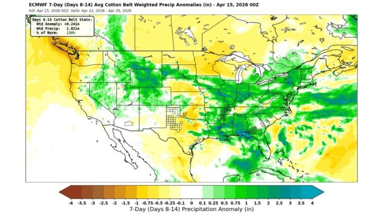 Rain Is Finally Coming to the Southeast and Cotton Belt Next Week — Here Is What Alabama, Georgia and Mississippi Can Expect