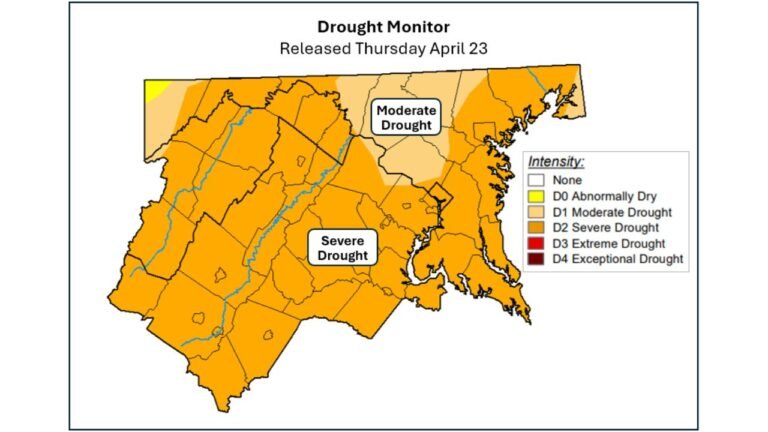 Washington D.C., Maryland and Virginia Drought Jumps to Severe as BWI Sits 3.31 Inches Below Normal Since March 1
