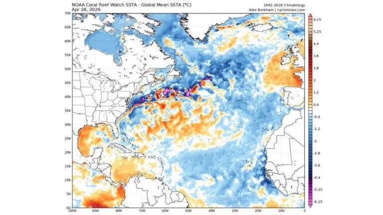 Atlantic Ocean Sea Surface Temperatures Tell a Divided Story on April 28 as Gulf of Mexico Runs Warm While North Atlantic Stays Significantly Below Normal