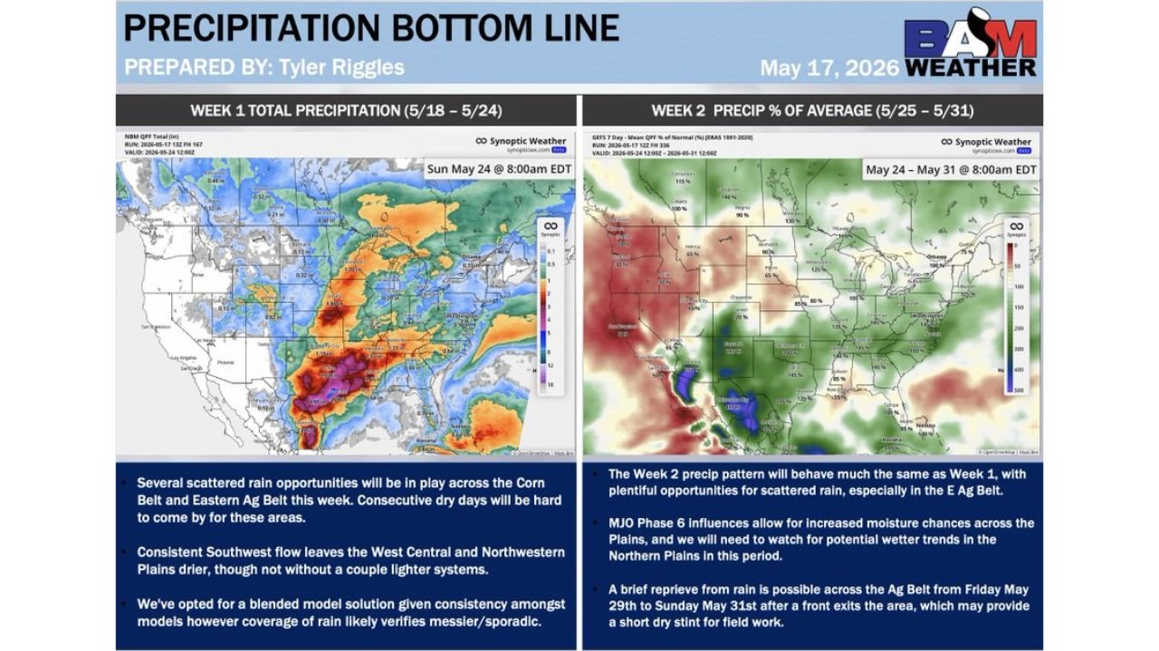 Corn Belt and Eastern Ag Belt Face Active 2 Week Rainfall Stretch May 18 Through May 31 With Scattered Rain Opportunities While West Central and Northwestern Plains Stay Drier