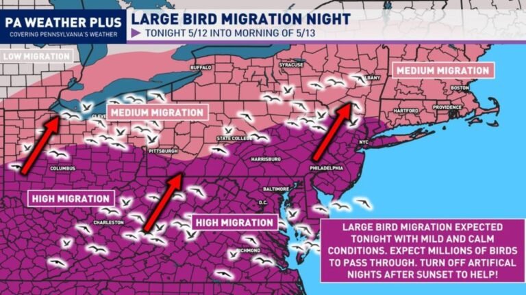 Pennsylvania, Maryland, Virginia, New York and New Jersey Face Millions of Migrating Birds Tuesday Night May 12 Into Wednesday May 13 With High Migration From Charleston and Richmond Through Philadelphia and Baltimore