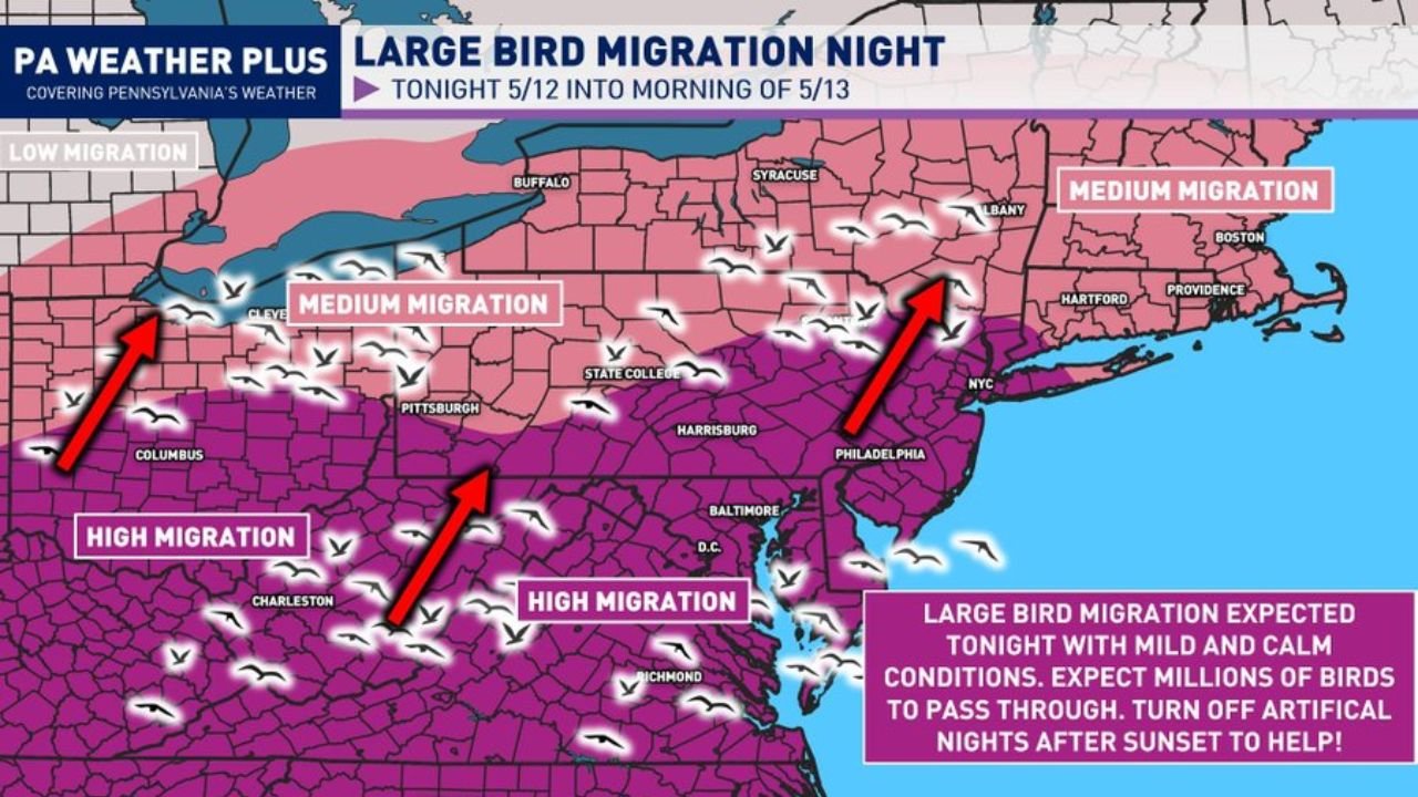 Pennsylvania, Maryland, Virginia, New York and New Jersey Face Millions of Migrating Birds Tuesday Night May 12 Into Wednesday May 13 With High Migration From Charleston and Richmond Through Philadelphia and Baltimore
