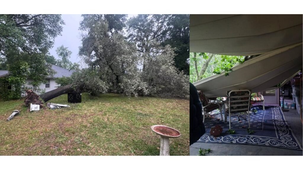Strong Storms Tear Through Crystal River, Florida Snapping Trees and Collapsing Roof Structures Across Citrus County