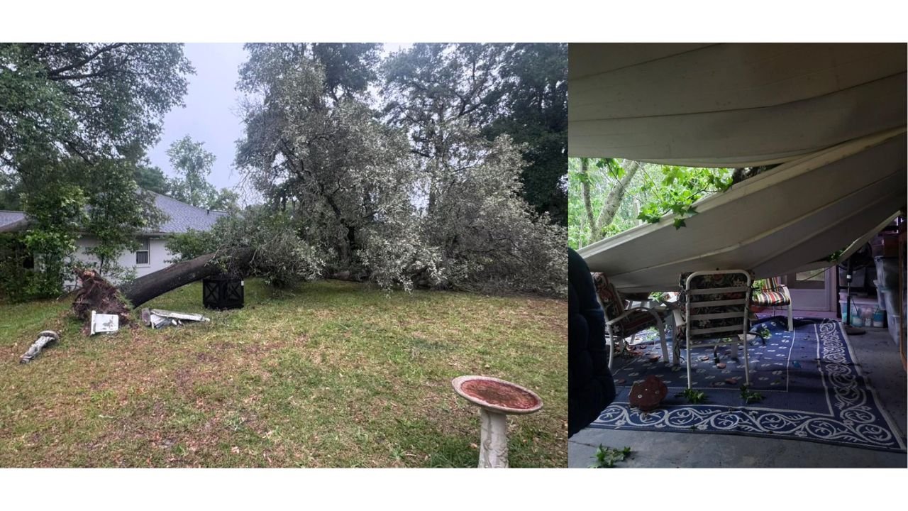 Strong Storms Tear Through Crystal River, Florida Snapping Trees and Collapsing Roof Structures Across Citrus County